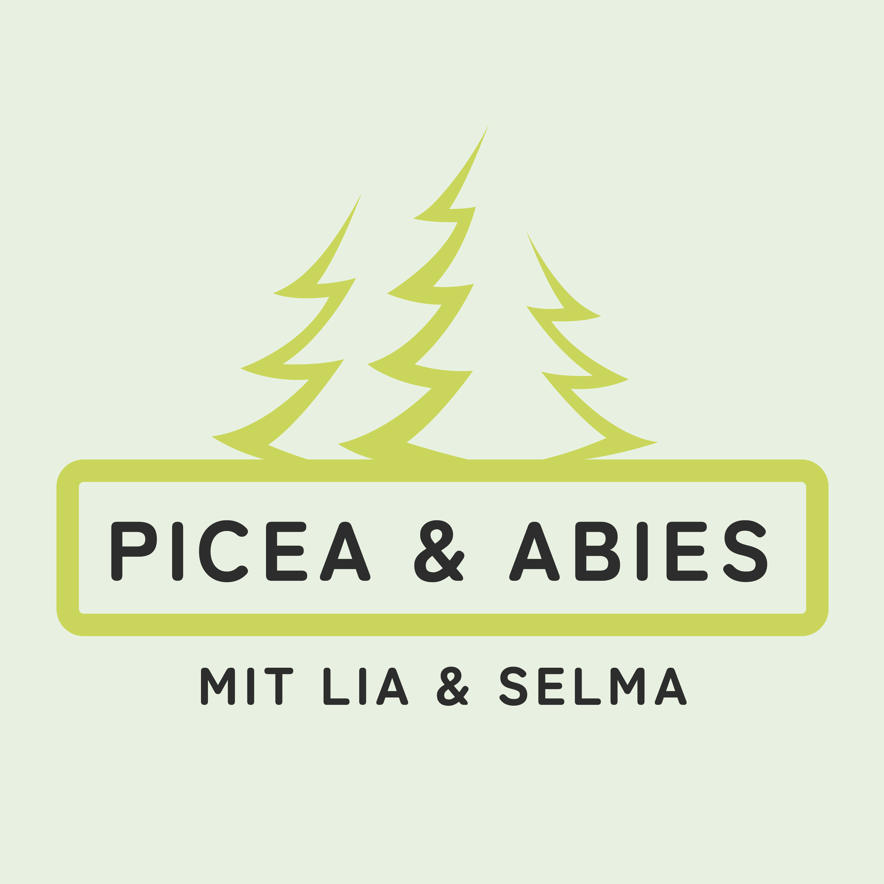 Picea und Abies